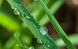 Photo of bottle of white wine from Lime Rock in Waipawa